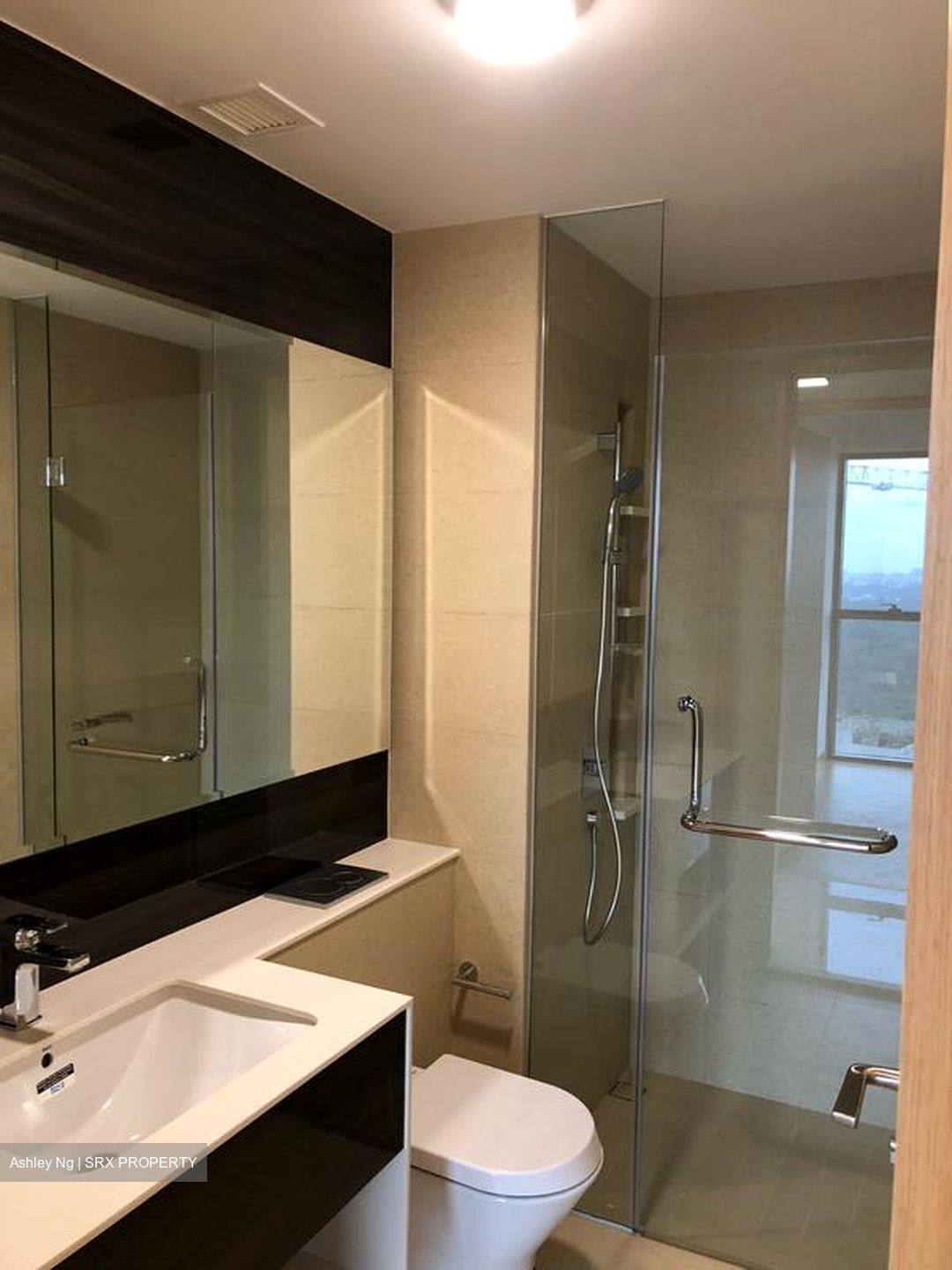 Commonwealth Towers (D3), Condominium #504366091